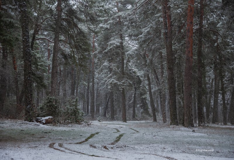 Зима.Январь....photo preview