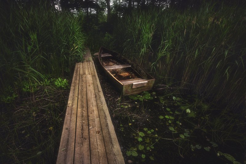 питер, луга, пейзаж Укромное местечко. . .photo preview