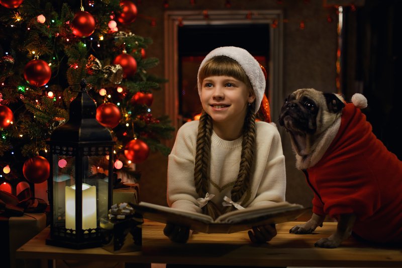 Рождественская идиллияphoto preview