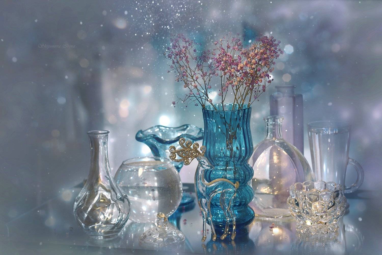 , Шипунова Ирина