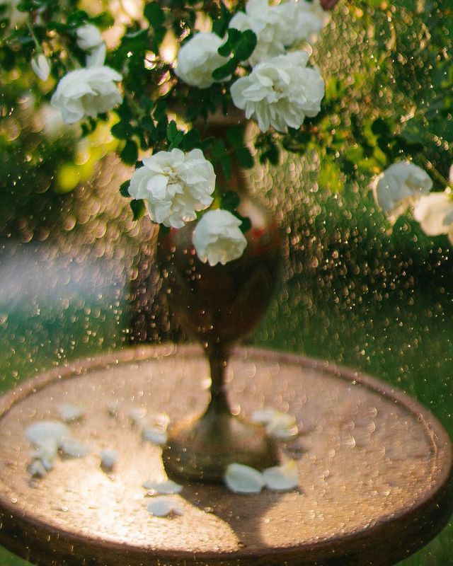 лето, цветы, букет, свет, боке photo preview