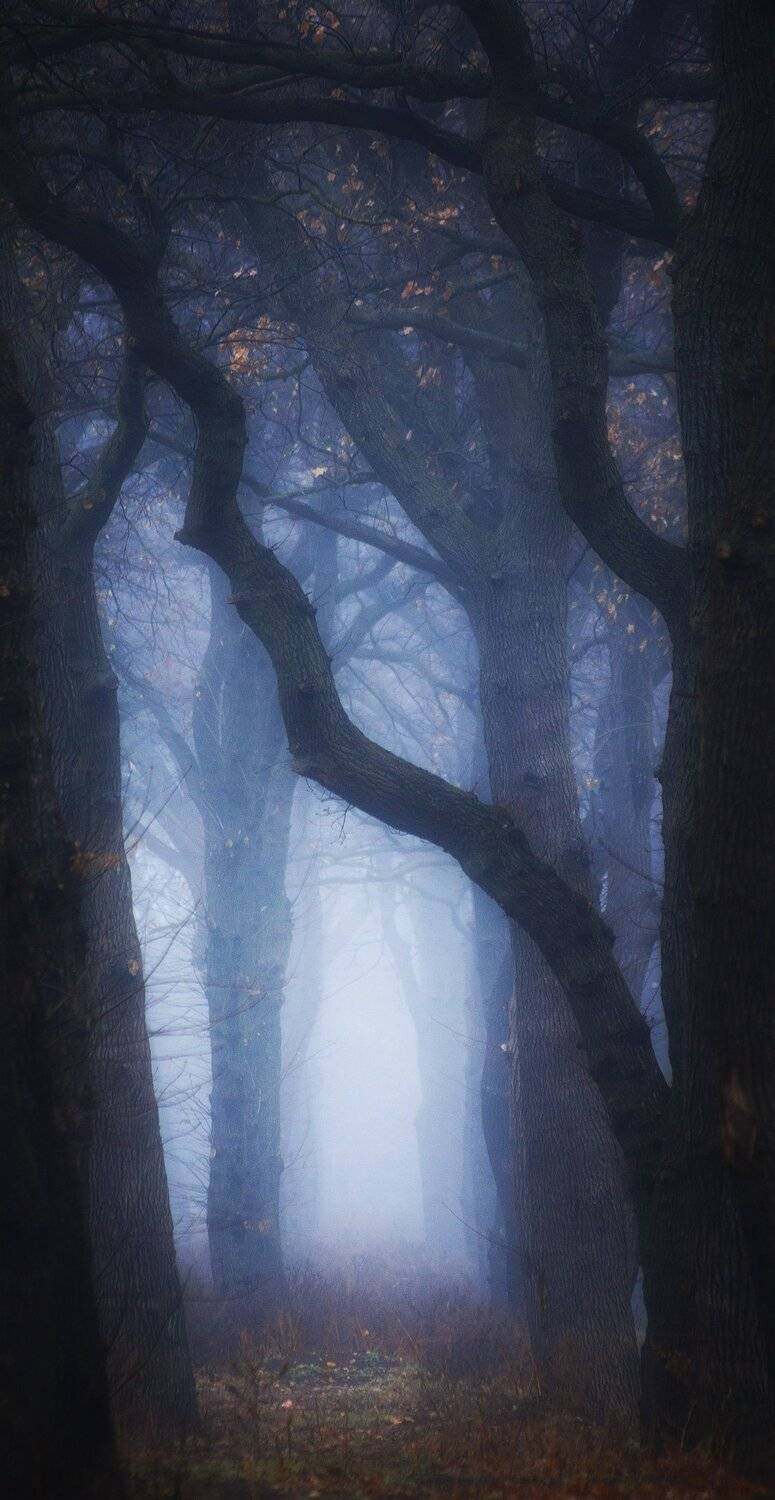 Мгла . Автор: Павел Сагайдак , Павел Сагайдак