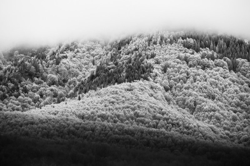 2020 фото превью