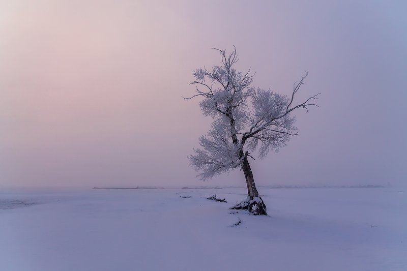 утро, рассвет, восход, туман, лучи Прелюдияphoto preview