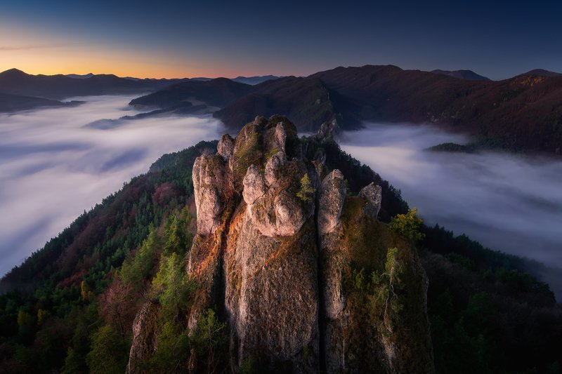 Tooths of Sulovphoto preview