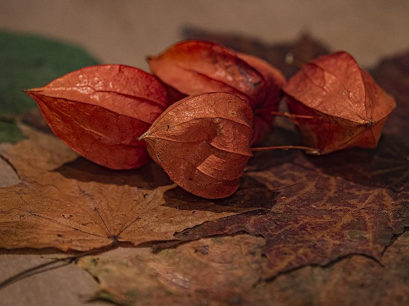 осеннийphoto preview