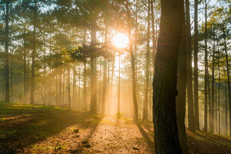 Da Lat 2020photo preview