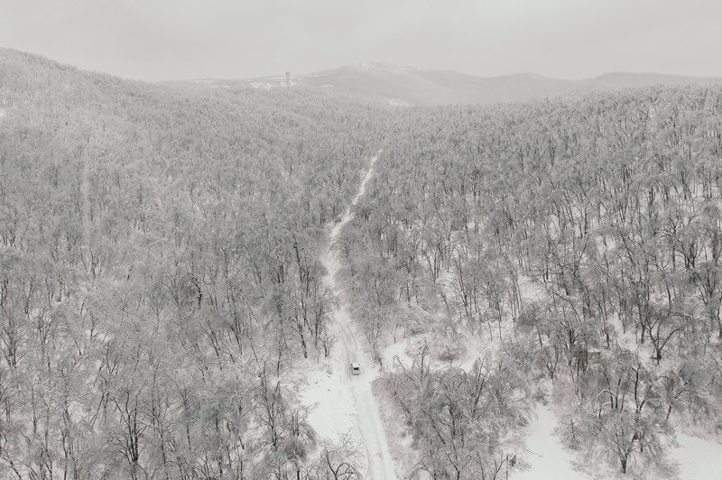 зима, снег, лес, одиночество, автомобиль, авто, приморье, владивосток, природа Тет-а-тетphoto preview