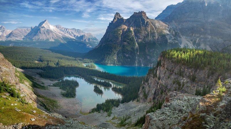 ohara, yoho, larches, sunrise ЛУЧphoto preview