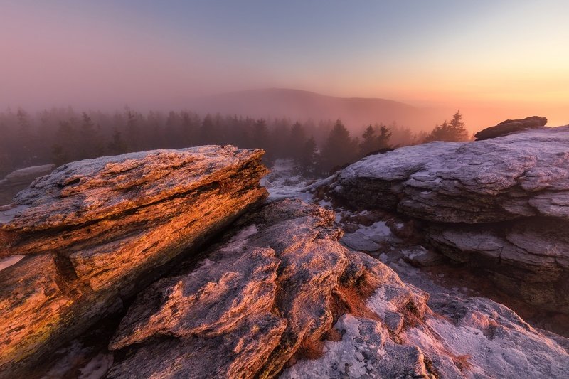 landscape, fog, sunrise, panorama, fog Light in Landscapephoto preview