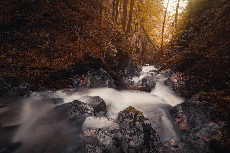slovenia, nikon, landscape, autumn, water, creek, longexposure Creek Hladnikphoto preview