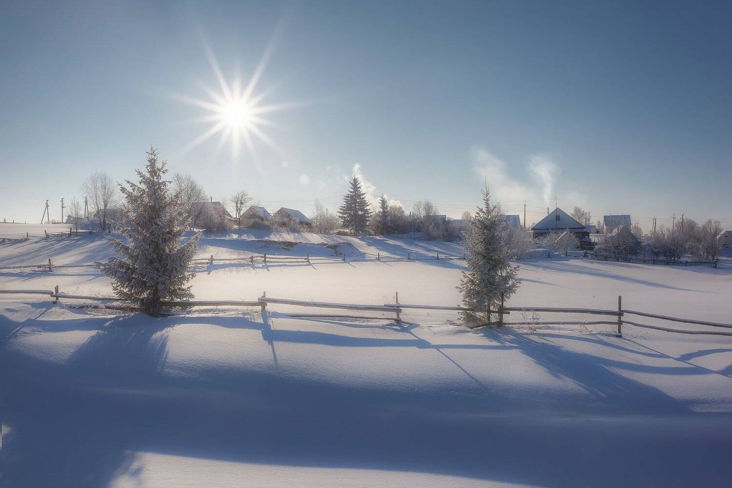 , Алексей Никитин
