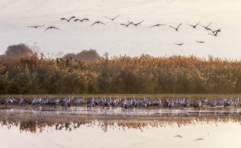 Good Moodphoto preview