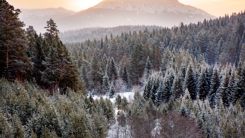 Село Тюлюк и его окресностиphoto preview