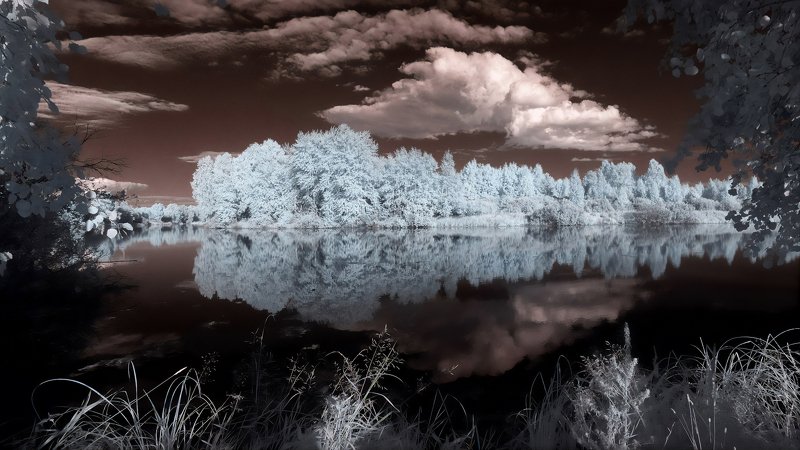 ик -фото, лето, озеро, лес  фото превью