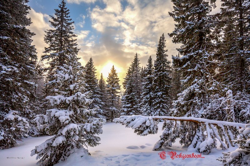 С Рождеством!photo preview