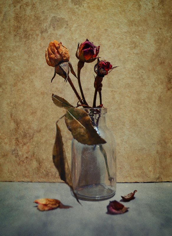 Между прошлым и будущимphoto preview