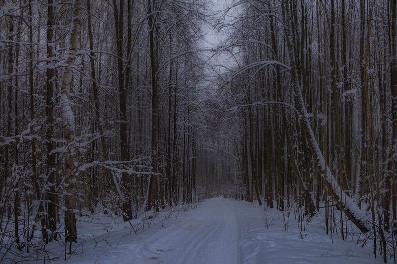Сумеркиphoto preview