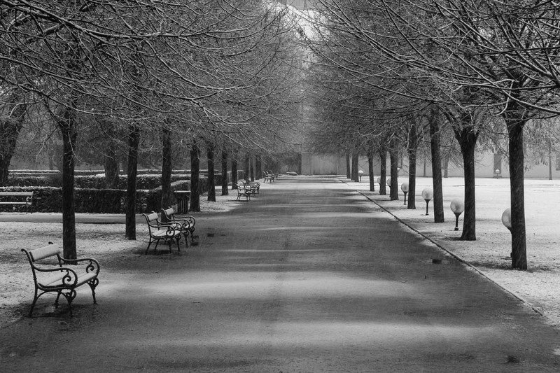 Первый снегphoto preview