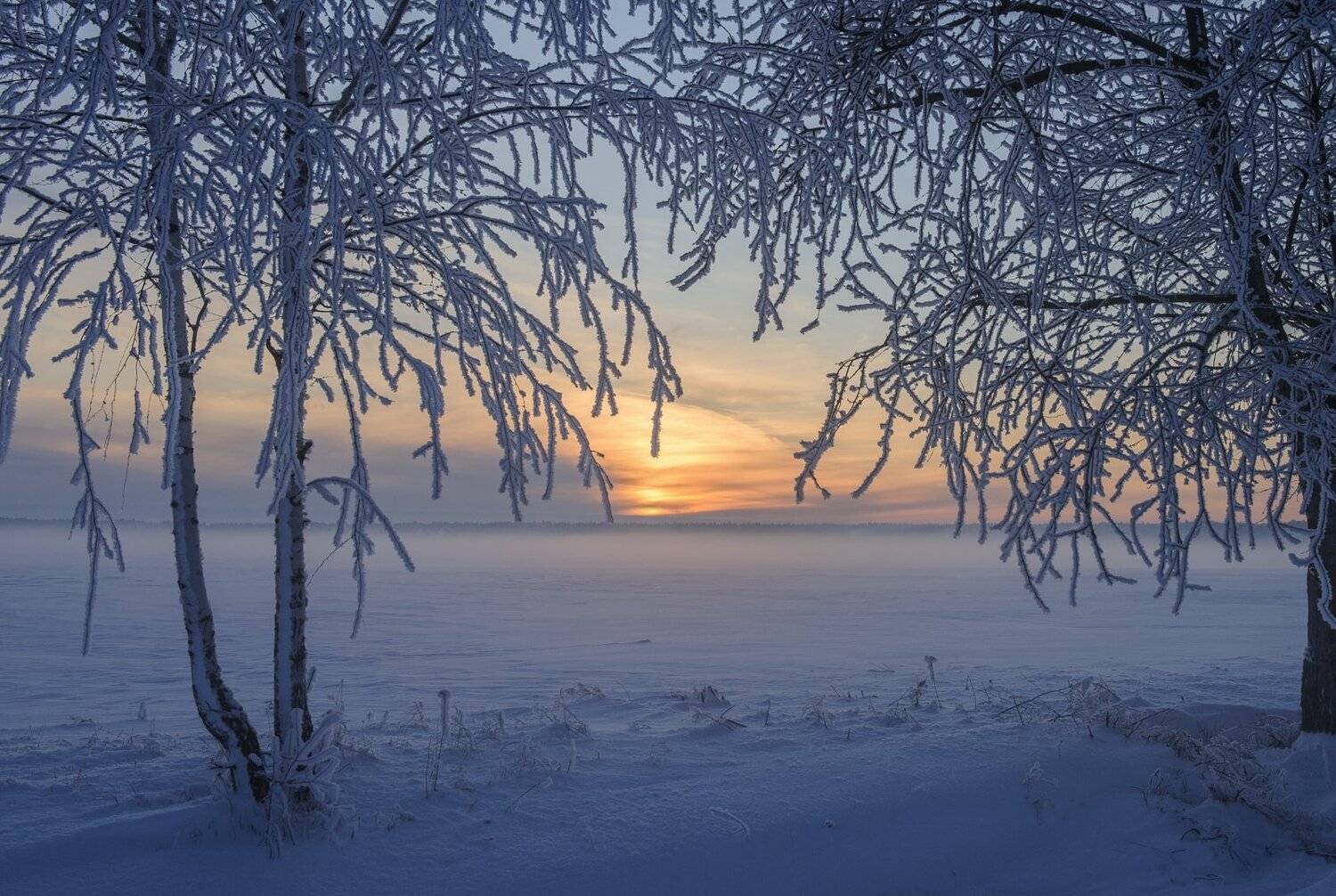 , Никитин Николай