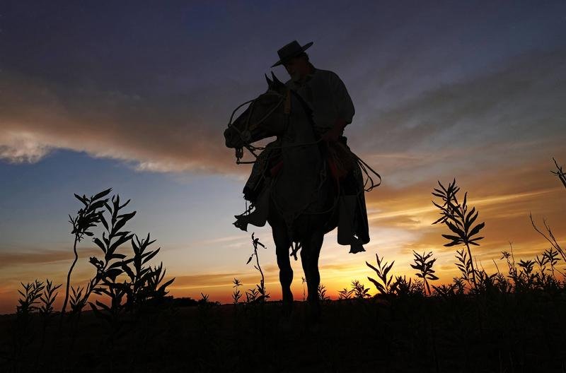 gaucho gauchophoto preview