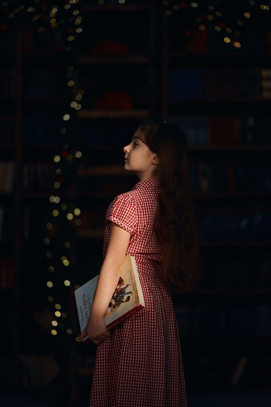 Libraryphoto preview