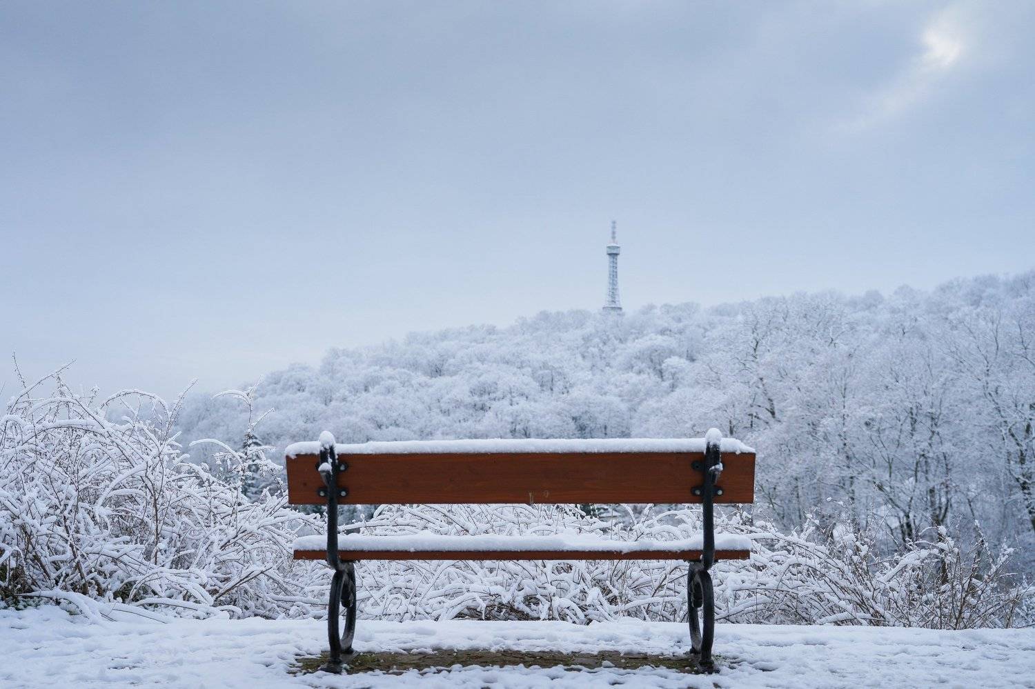 Автор: Николай Лебедев , Николай Лебедев