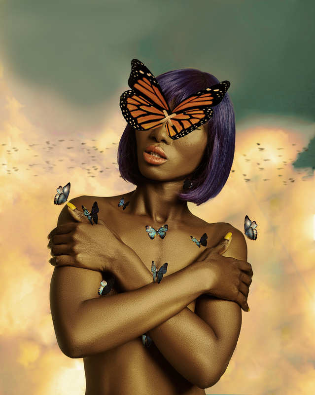 Conceptual, butterflies, manipulation,colorful,studio Freedomphoto preview
