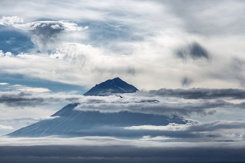 Орлята учатся летать  фото превью