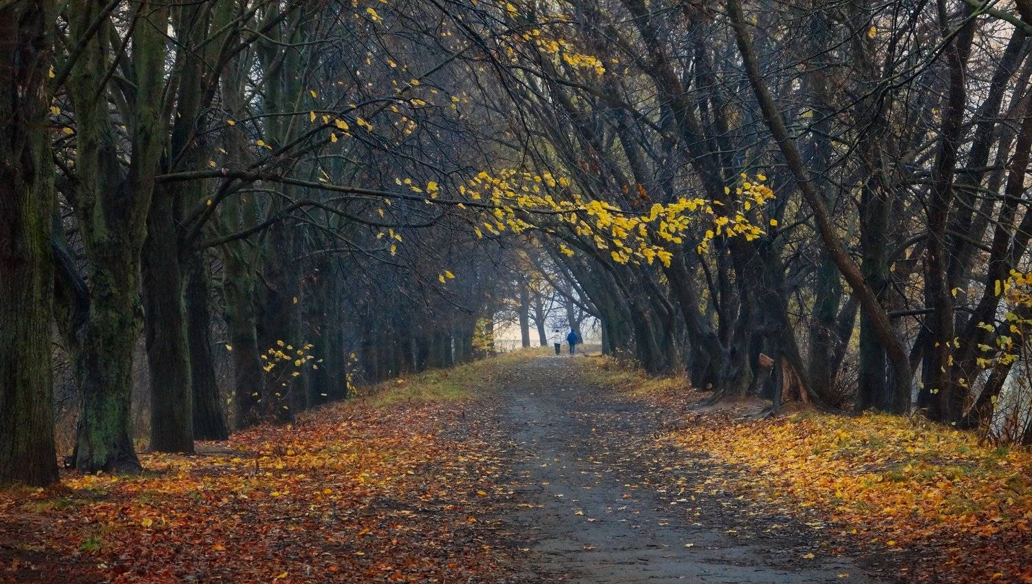 , Светлана Сушкевич