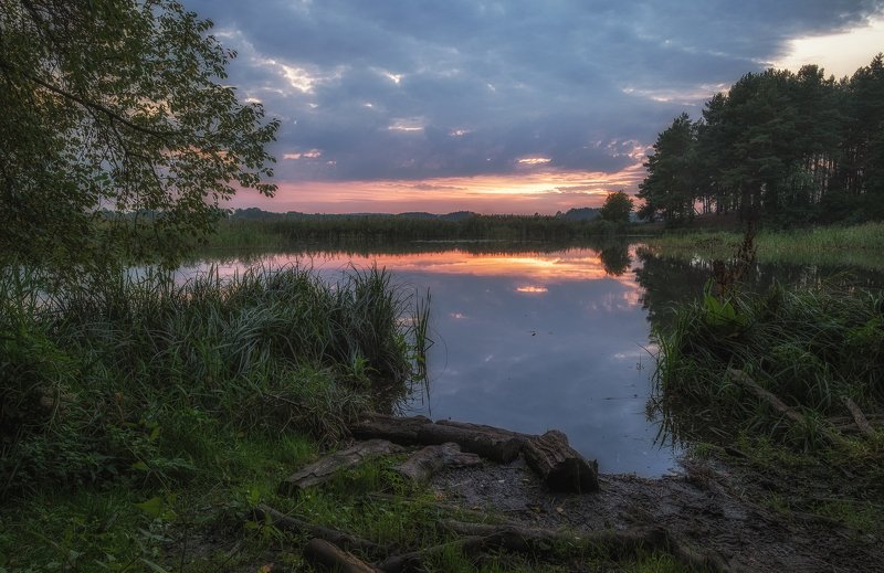 Backwaterphoto preview