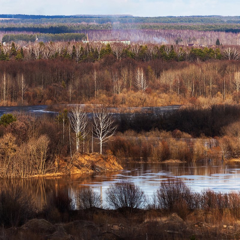 весна, киров, разлив, река, вятка, горизонт, панорама, апрель, тепло, солнечно, березка, берег Весенний разливphoto preview