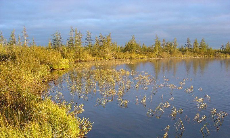 озеро,тайга,осень Осенняя тишинаphoto preview