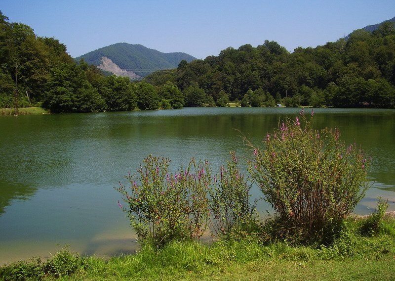 озеро, лето, горы, сочи Барановское озеро (Дагомыс)photo preview