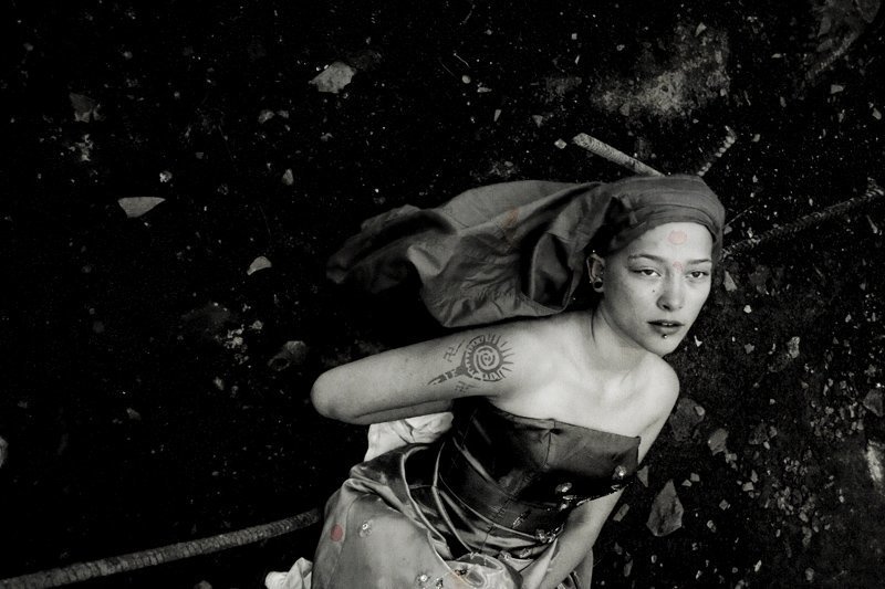 фараон, чайка, внутри, вне, о.., каты photo preview