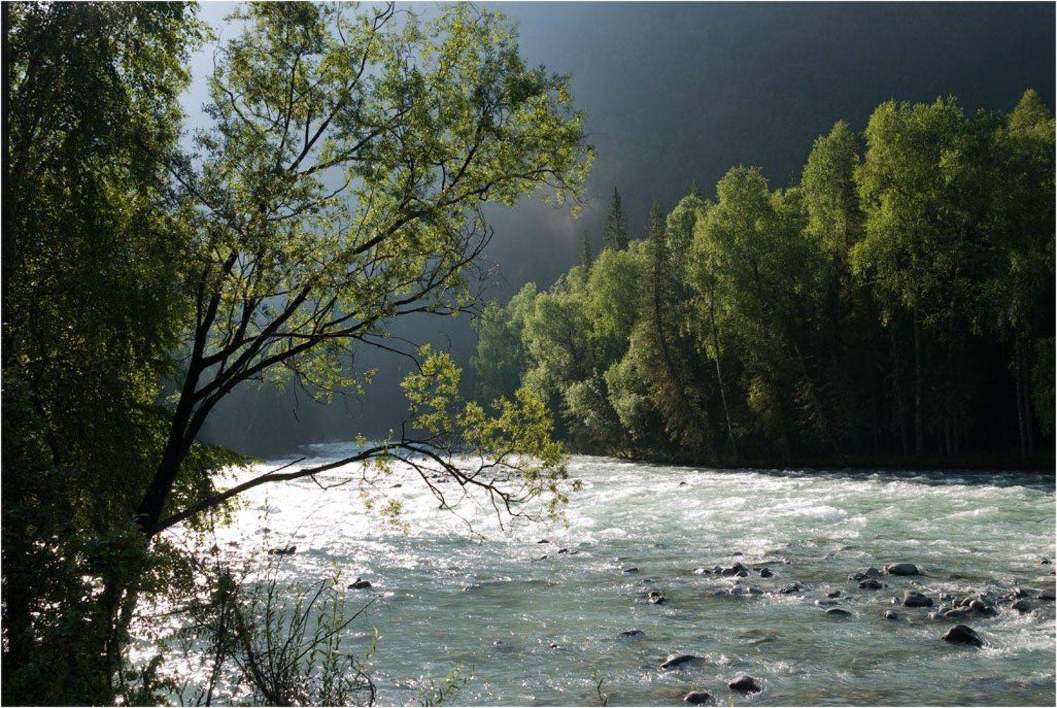 алтай, кураган, Вячеслав Одинцов