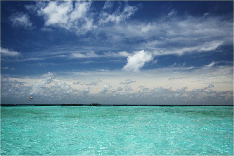 eden, рай, острова, island edenphoto preview