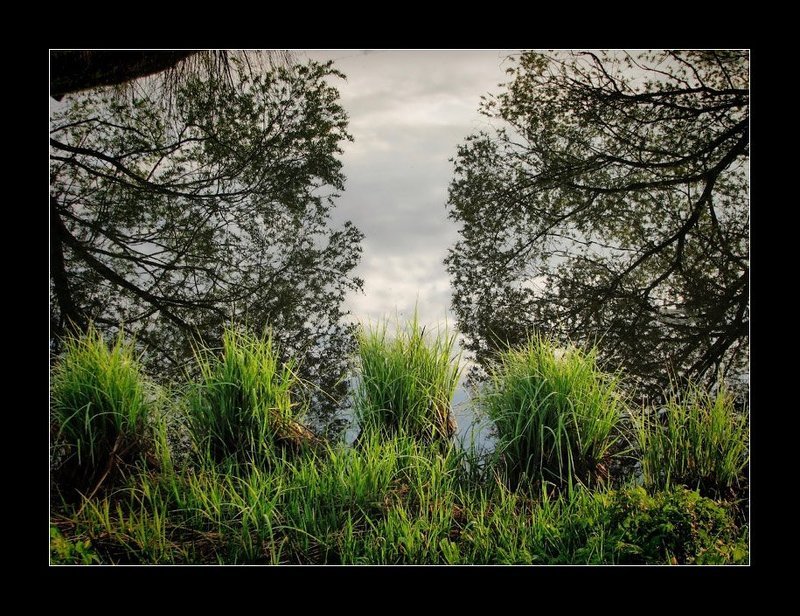 Природная симметрияphoto preview