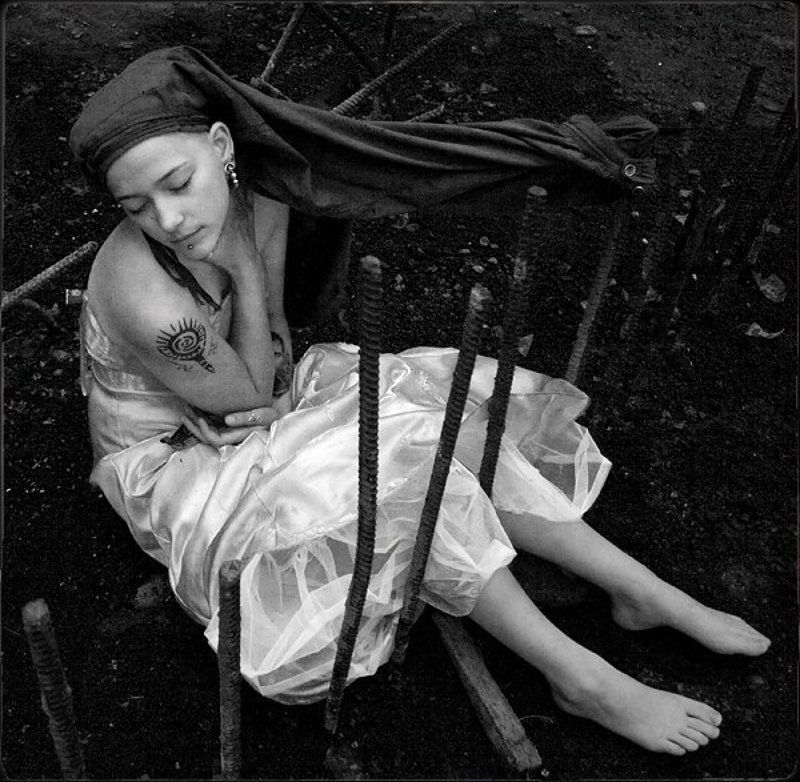 фараон, чайка, вселенная, рядом, далеко, мир Фараон-Чайкаphoto preview