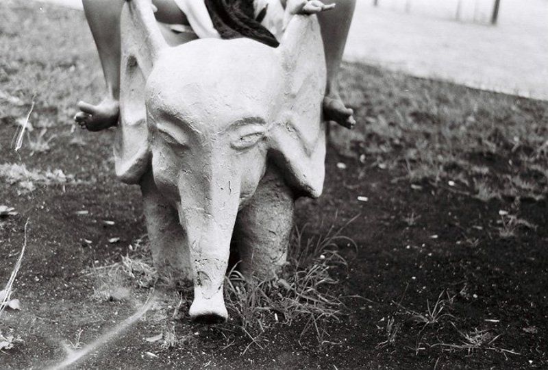 слон, сердце, индия, зоркий4к, 35мм В Слоне - большое Сердцеphoto preview