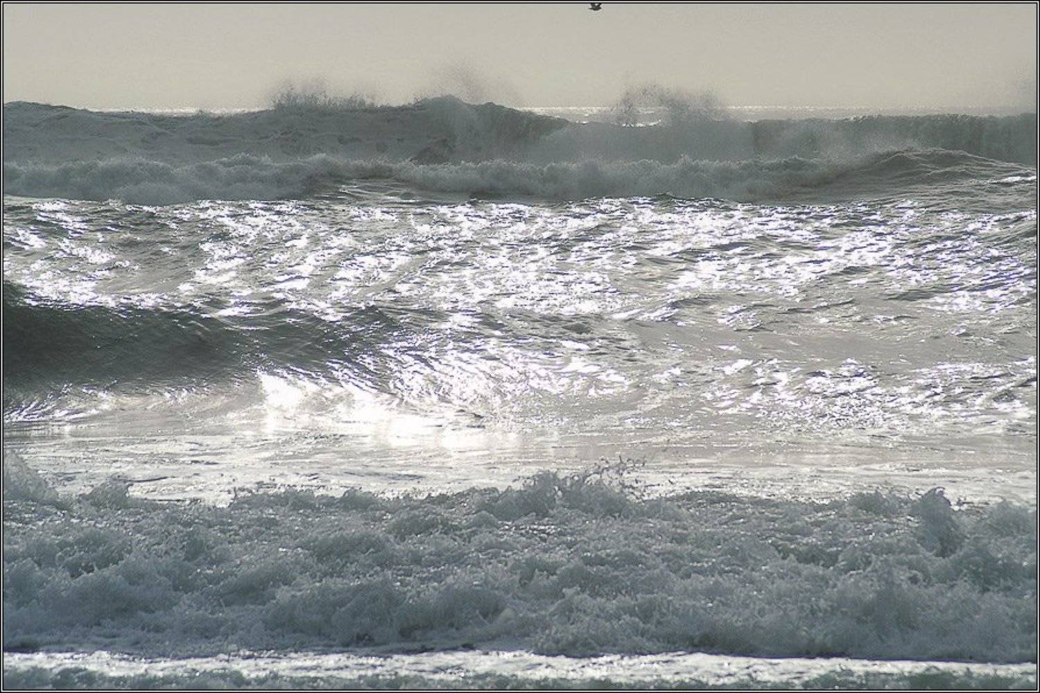 , Alexandre Michourovskii