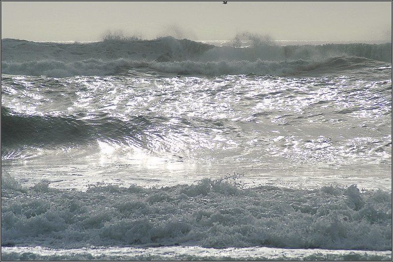 О птичке, которая не вместилась в кадрphoto preview