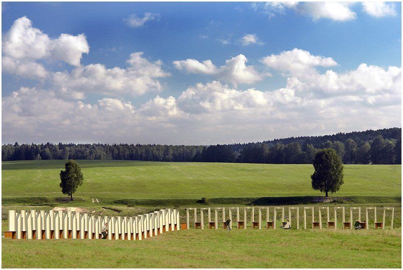 в поле...photo preview