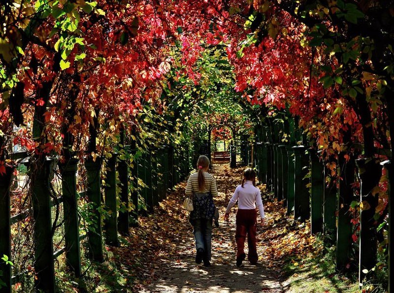 петергоф, осень Там, за осенью...photo preview