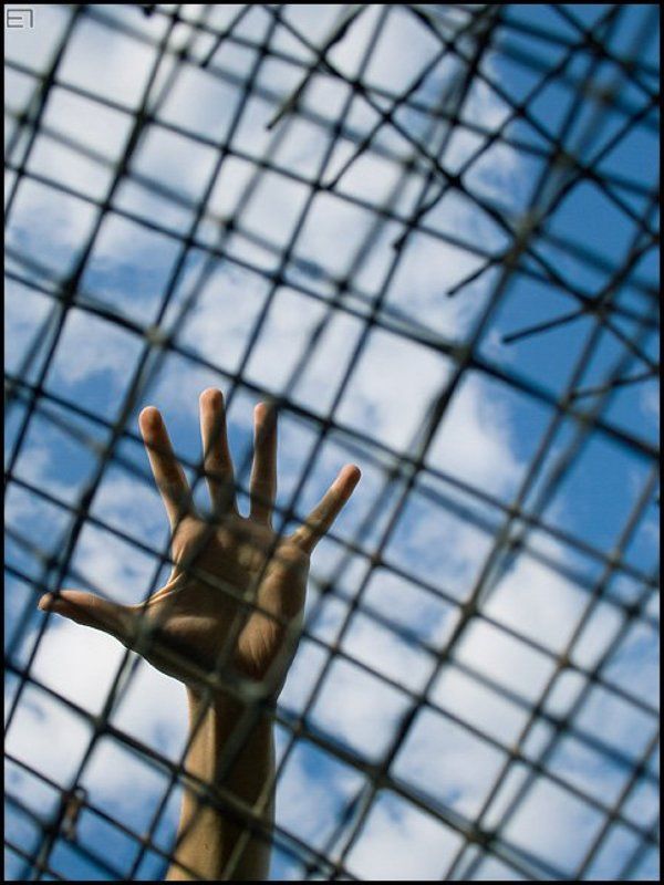 решётка, решето, рука, свобода К свободе...photo preview