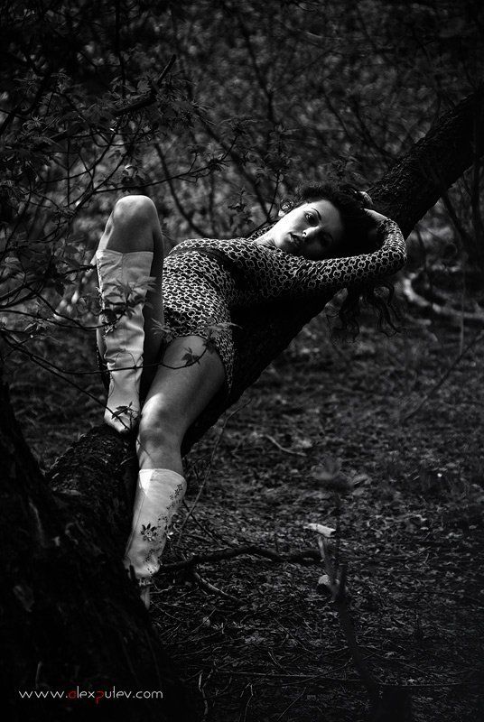 природа,девушка,черное,белое,свет,тень Albiphoto preview