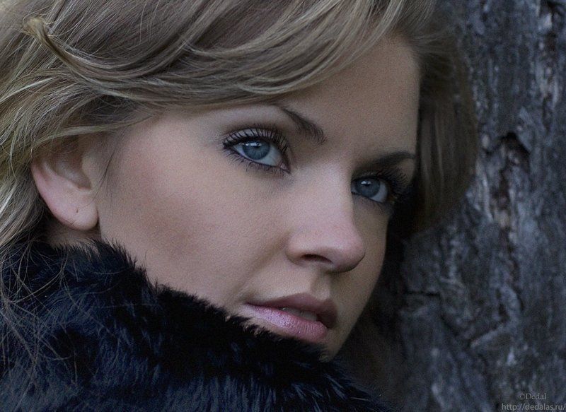 ... портрет...photo preview