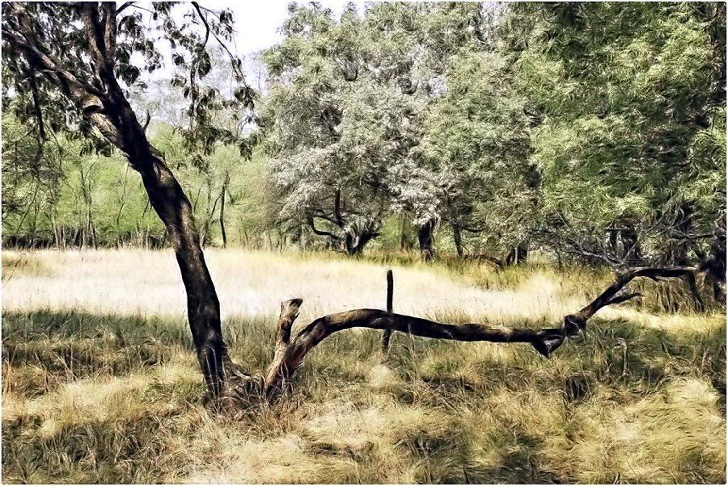 Автор: Александр Батурский , Александр Батурский