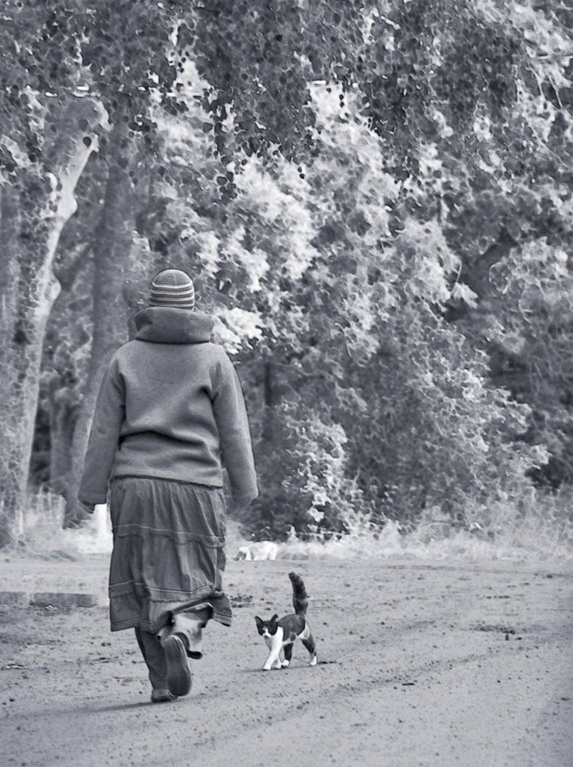 котенок,женщина, Евгений Пугачев.