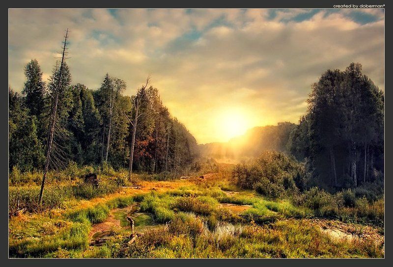 Последний летний закатphoto preview